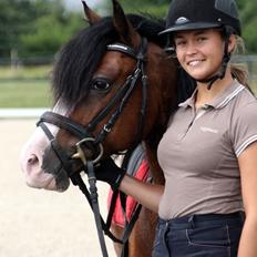 Welsh Pony af Cob-type (sec C) Thers Mickey Mouse