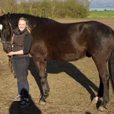 Oldenborg Castberg´s Superstar