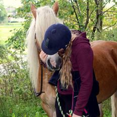 Haflinger Mille;-*