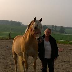 Haflinger Rowina