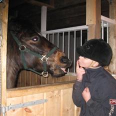 Anden særlig race Cherie * mit alt :'(*