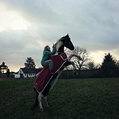 Pinto Jessey *My Soulmate*