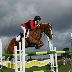 Anden særlig race Maggie Stensbæk | military A-PONY