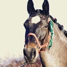 Oldenborg Bianca