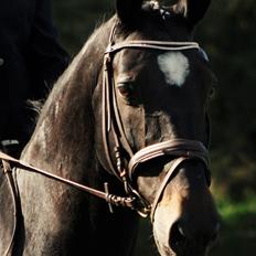 Oldenborg Bianca