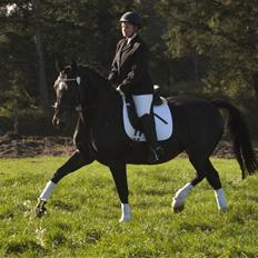 Oldenborg Bianca