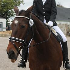 Oldenborg Ayla
