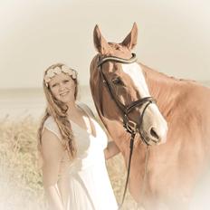 Trakehner Heywood af Lykkebo