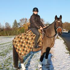Oldenborg Ayla