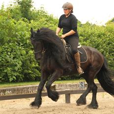 Frieser Zaion Terplinggaard STER