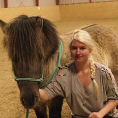 Shetlænder Tumle
