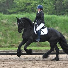 Frieser Zaion Terplinggaard STER