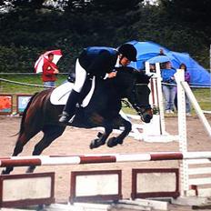 Anden særlig race Polly ¤Supermule¤ RIP