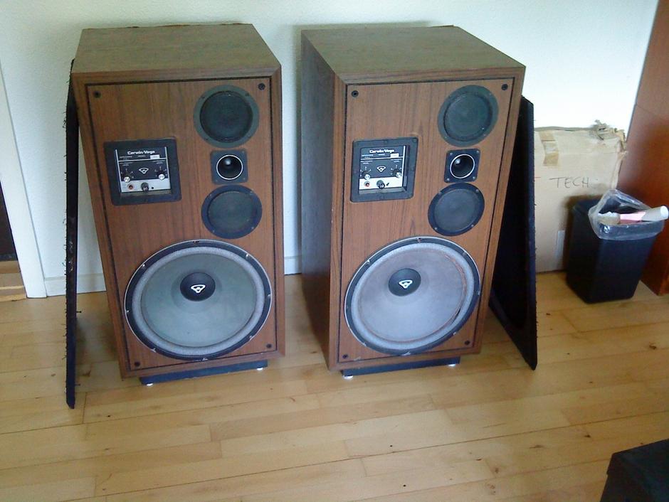 Cerwin Vega D9E