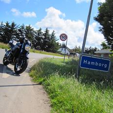 Suzuki GSR600