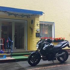 Suzuki GSR600