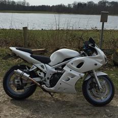 Suzuki SV 650 S