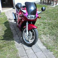 Suzuki gsx750f