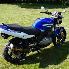 Suzuki GS500