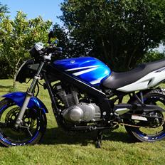 Suzuki GS500