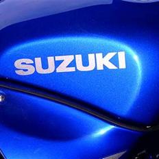 Suzuki gsx 600 f (SOLGT)