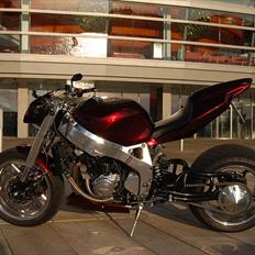 Honda Fireblade Streetfighter SOLGT