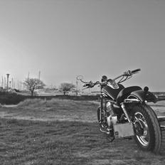 Lifan King 250