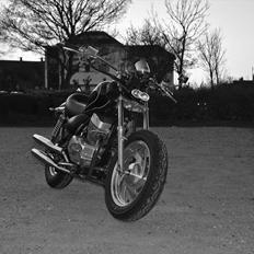Lifan King 250