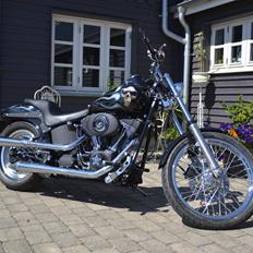 Harley Davidson Fxstb "Night Train"