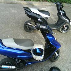Honda SFX LC - VÆK :s