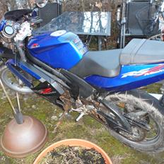 Rieju RS2 matrix