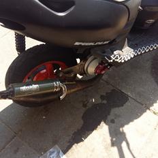 Aprilia sonic