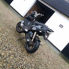 PGO Pmx naked