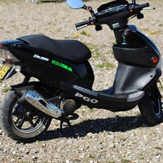 PGO Dr-Big