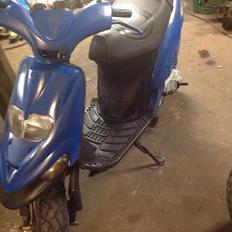 Gilera stalker møg vild
