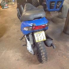 Gilera stalker møg vild