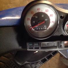 Gilera stalker møg vild