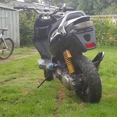 PGO Pmx Naked