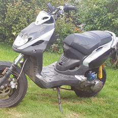 PGO Pmx Naked