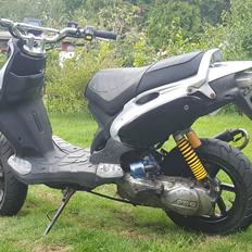 PGO Pmx Naked