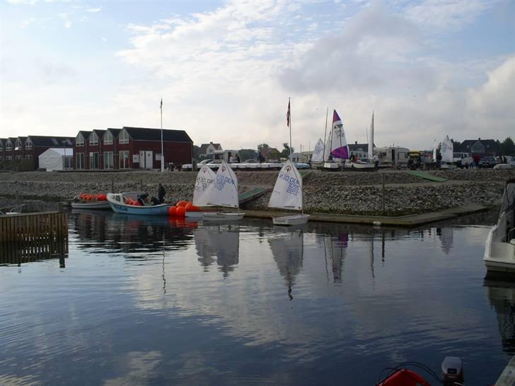 Optimist jolle billede 2