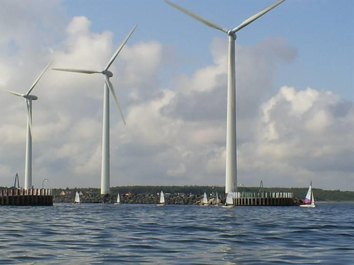 Optimist jolle billede 4