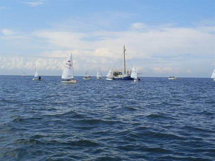 Optimist jolle billede 5