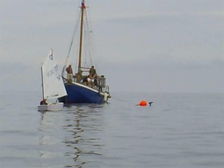 Optimist jolle billede 7