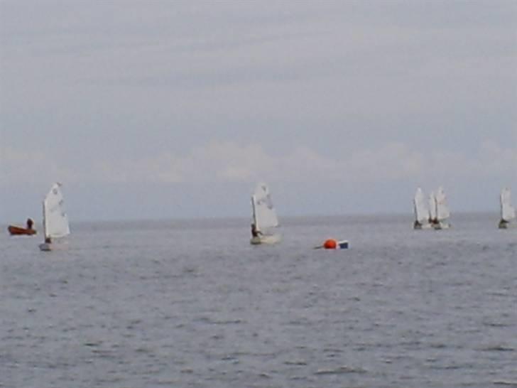 Optimist jolle billede 8