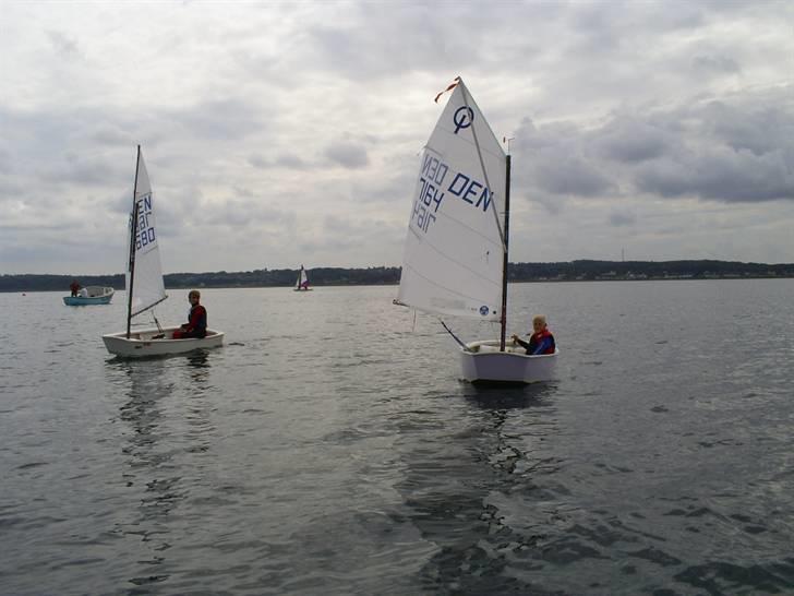 Optimist jolle billede 9