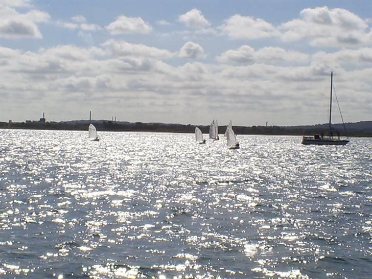 Optimist jolle billede 10