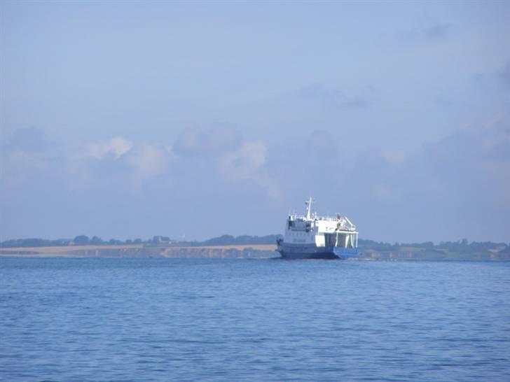 Bandholm billede 20