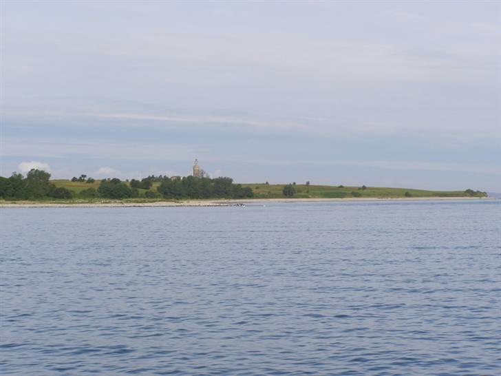 Bandholm billede 24