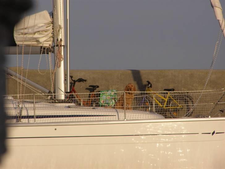 Bandholm billede 25